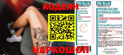 молекула духа Камышлов