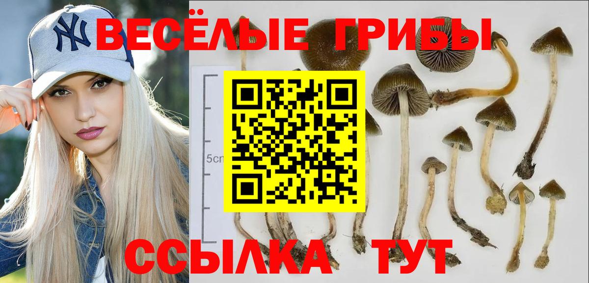 Псилоцибиновые грибы Magic Shrooms Ростов-на-Дону