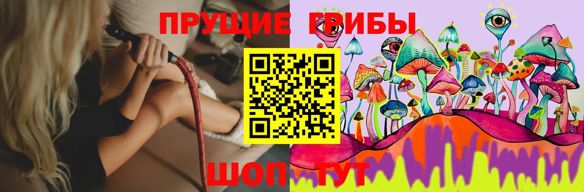 Псилоцибиновые грибы мицелий  Псилоцибиновые грибы прущие грибы  Вход с VPN  Ростов-на-Дону 
